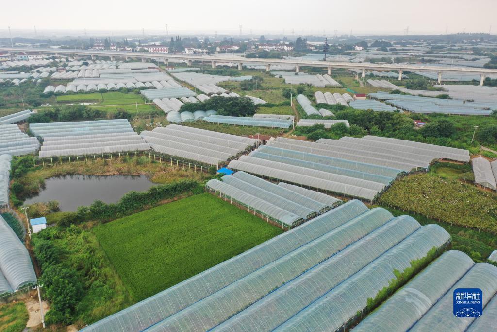 10博官网下载